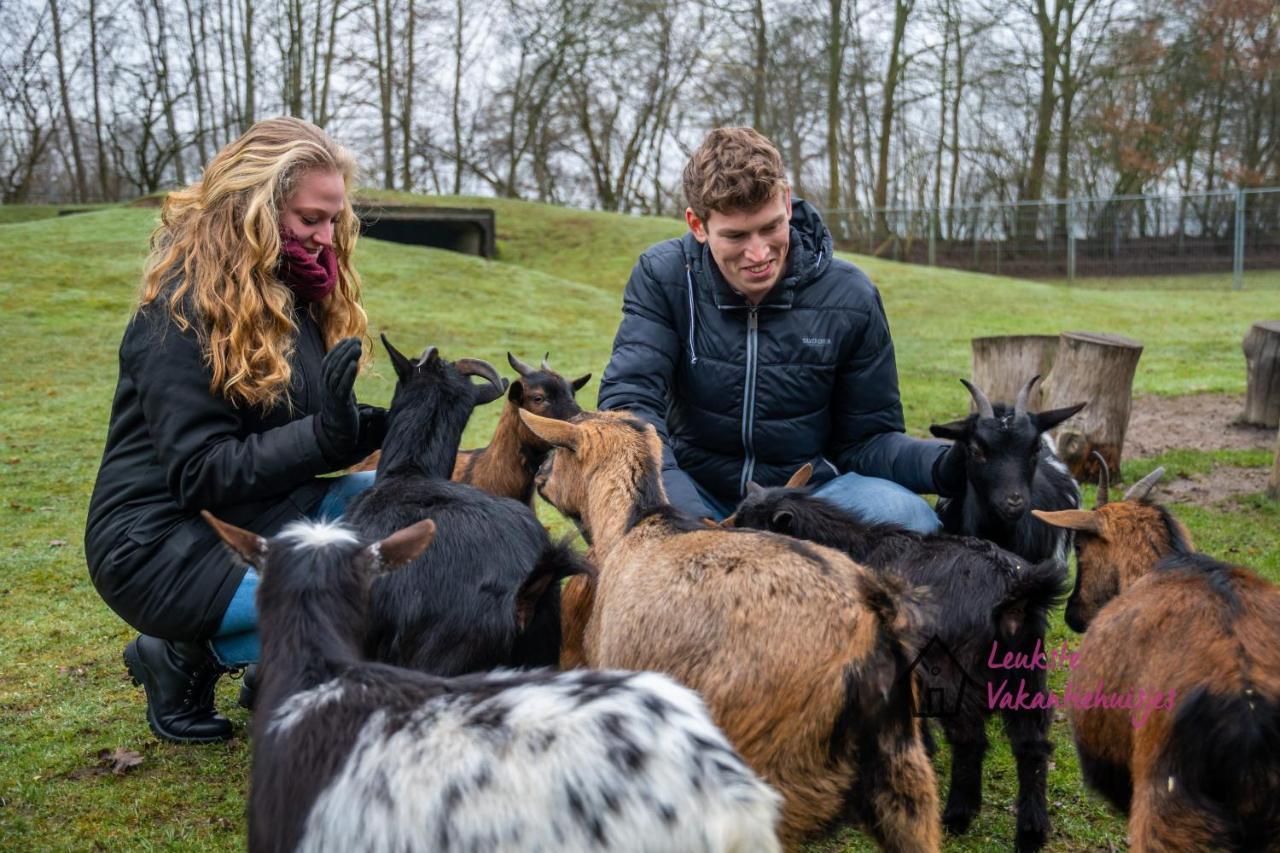 Het Familie Boshuisje - Vakantiewoning Op Prachtig Park Met Veel Faciliteiten Inc Ligbad Gramsbergen Extérieur photo