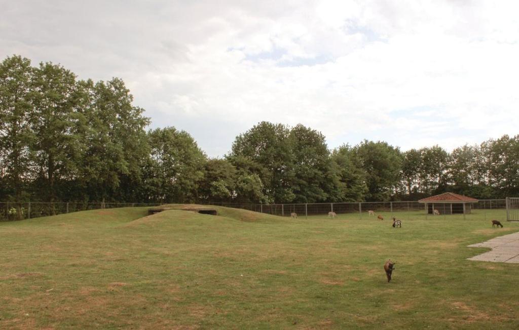 Het Familie Boshuisje - Vakantiewoning Op Prachtig Park Met Veel Faciliteiten Inc Ligbad Gramsbergen Extérieur photo
